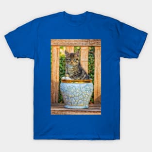 Pot Of Baby Kitten T-Shirt